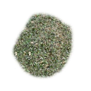 Pudina Powder
