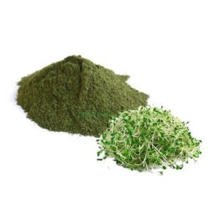 Organic alfalfa powder--medicago sativa