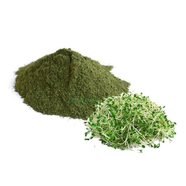 Organic alfalfa powder--medicago sativa