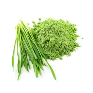 Organic barley grass powder-hordeum vulgare