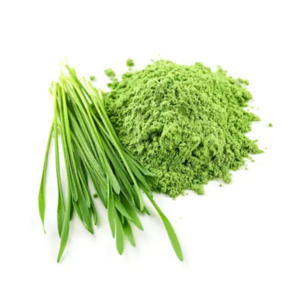Organic barley grass powder-hordeum vulgare