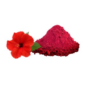 Organic hibiscus powder- hibiscus rosa- sinensis