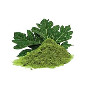 Papaya leaves powder-carica pappaya