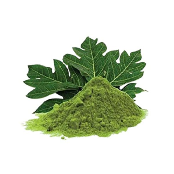 Papaya leaves powder-carica pappaya